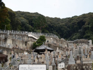 japan11-03-107 japan11-03-107