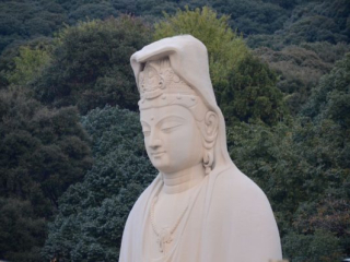 japan11-03-109 japan11-03-109