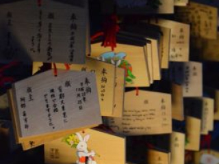 japan11-03-123 japan11-03-123