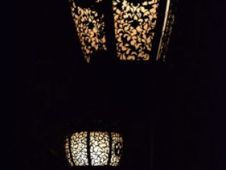 japan11-03-125 japan11-03-125