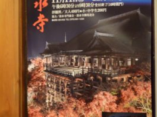 japan11-03-133 japan11-03-133