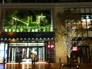 japan11-04-71 japan11-04-71