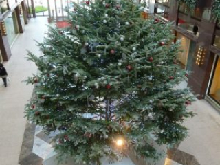 japan11-05-05 japan11-05-05