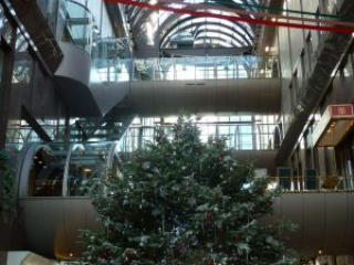 japan11-05-08 japan11-05-08