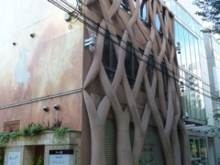 japan11-05-10 japan11-05-10