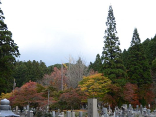 japan11-05-36 japan11-05-36