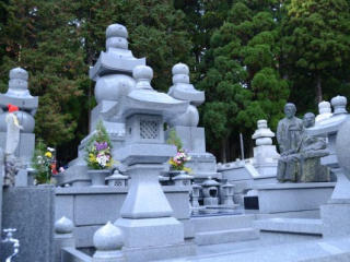 japan11-05-39 japan11-05-39