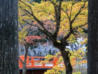 japan11-05-47 japan11-05-47