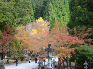 japan11-05-49 japan11-05-49