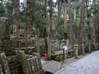 japan11-05-50 japan11-05-50