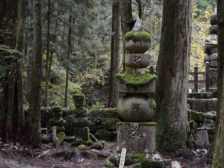 japan11-05-51 japan11-05-51