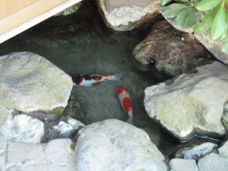 japan11-06-04 japan11-06-04