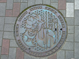 japan11-06-05 japan11-06-05