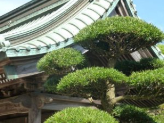 japan11-06-10 japan11-06-10