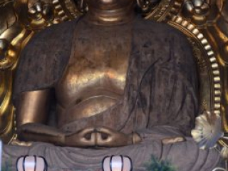 japan11-06-22 japan11-06-22