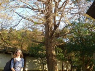 japan11-06-58 japan11-06-58