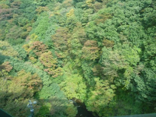 japan11-07-06 japan11-07-06