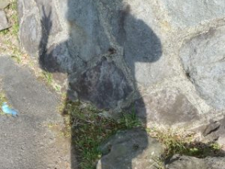 japan11-07-29 japan11-07-29