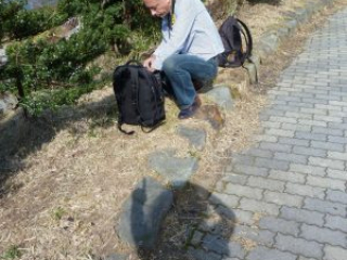 japan11-07-36 japan11-07-36