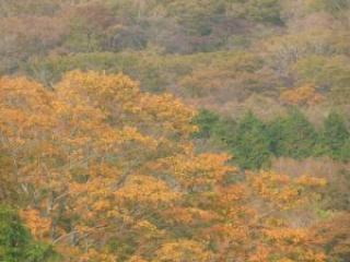 japan11-07-56 japan11-07-56