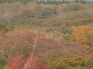 japan11-07-57 japan11-07-57