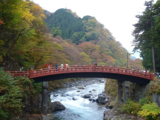 japan11-08-011 japan11-08-011