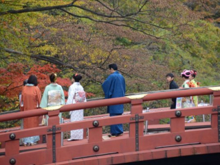 japan11-08-012 japan11-08-012