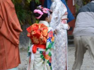 japan11-08-017 japan11-08-017