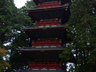 japan11-08-031 japan11-08-031