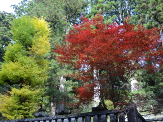 japan11-08-067 japan11-08-067