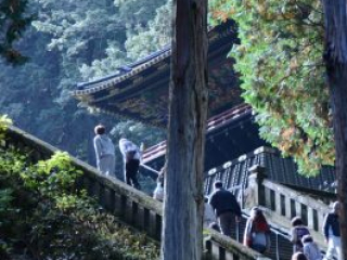 japan11-08-069 japan11-08-069