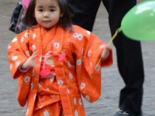 japan11-08-081 japan11-08-081