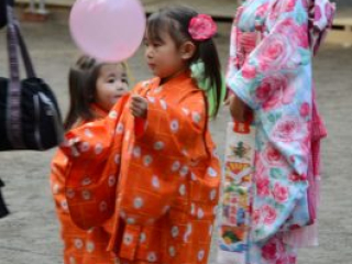 japan11-08-084 japan11-08-084