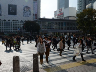 japan11-09-003 japan11-09-003