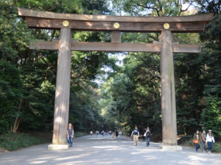 japan11-09-010 japan11-09-010