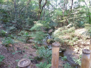 japan11-09-011 japan11-09-011