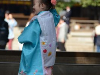 japan11-09-031 japan11-09-031