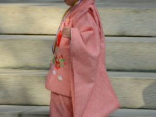 japan11-09-039 japan11-09-039