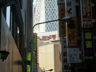 japan11-09-074 japan11-09-074