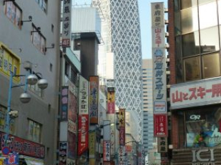 japan11-09-077 japan11-09-077