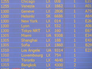 p1000288 p1000288