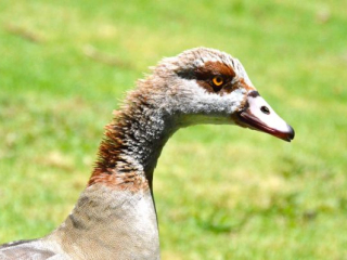za02-057 za02-057