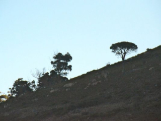 za03-092 za03-092