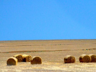 DSC_4357 DSC_4357
