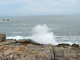 DSC_4386 DSC_4386