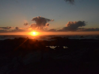 DSC_4500 DSC_4500