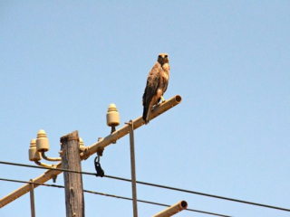 DSC_4586 DSC_4586