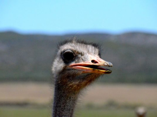 DSC_4621 DSC_4621