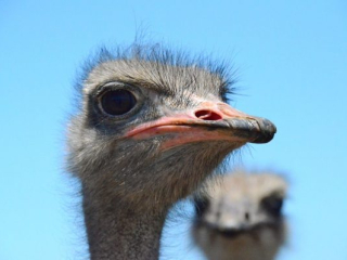 DSC_4645 DSC_4645