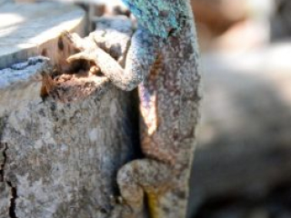 DSC_4689 DSC_4689